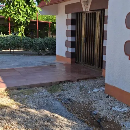 Holiday House